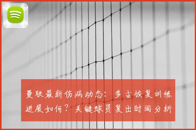 曼联最新伤病动态：多古恢复训练进展如何？关键球员复出时间分析